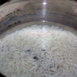 Закуска из риса с креветками